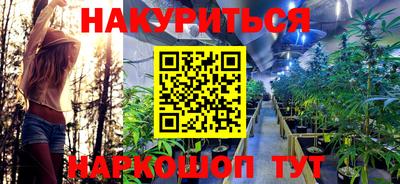эйфоретик Будённовск