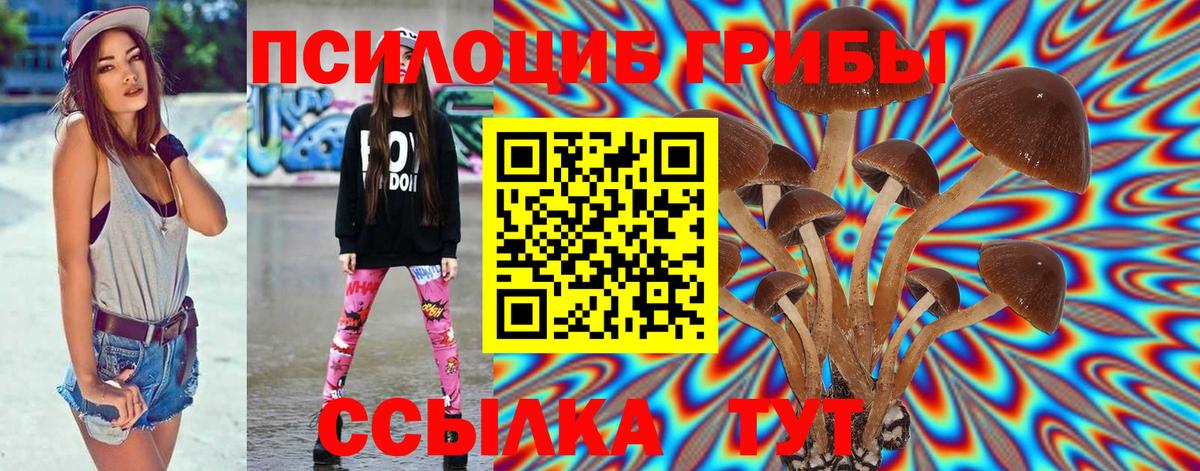 Полевской  Галлюциногенные грибы Magic Shrooms  Вход с VPN 